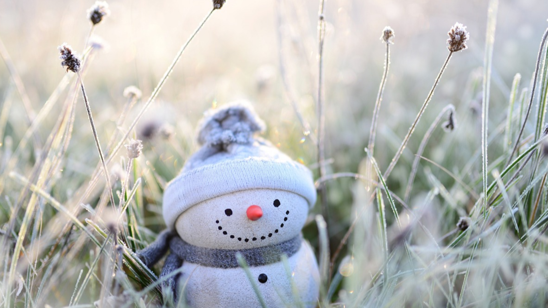 Herzlich Willkommen ! 