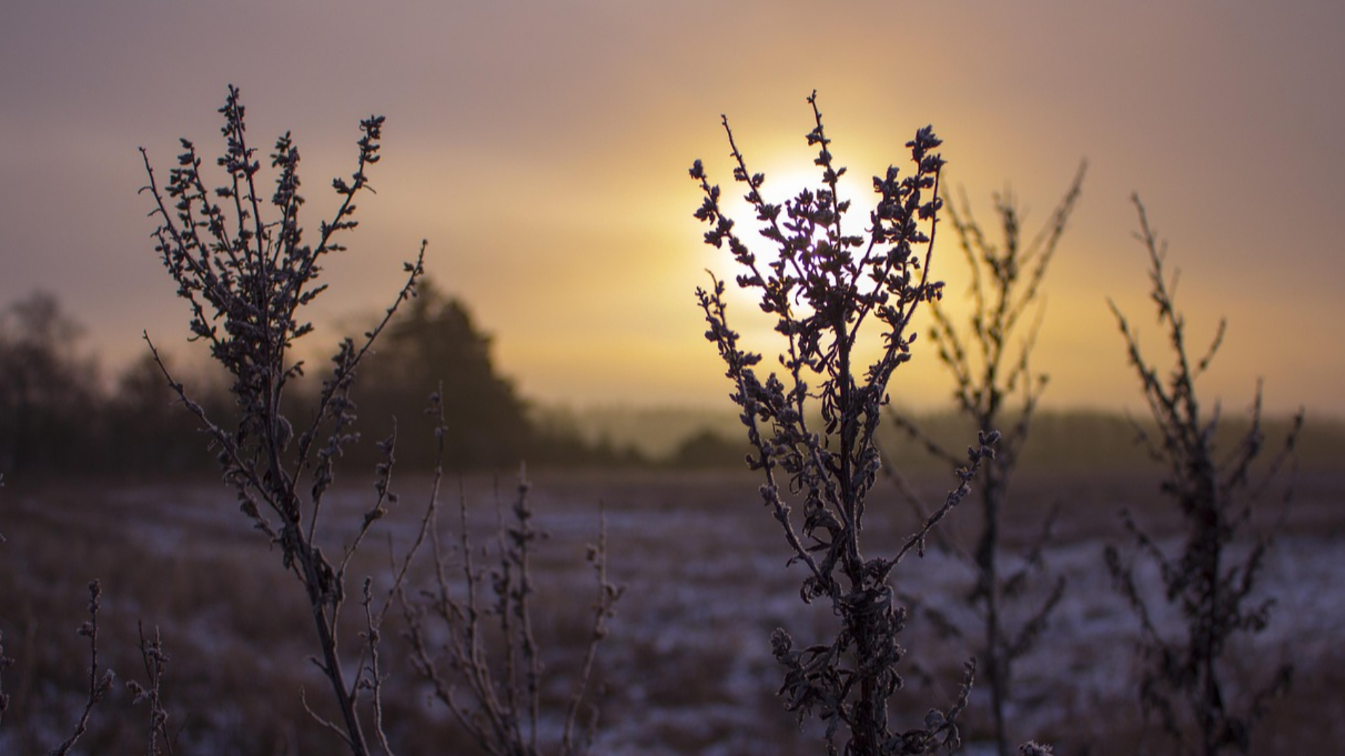 Herzlich Willkommen !