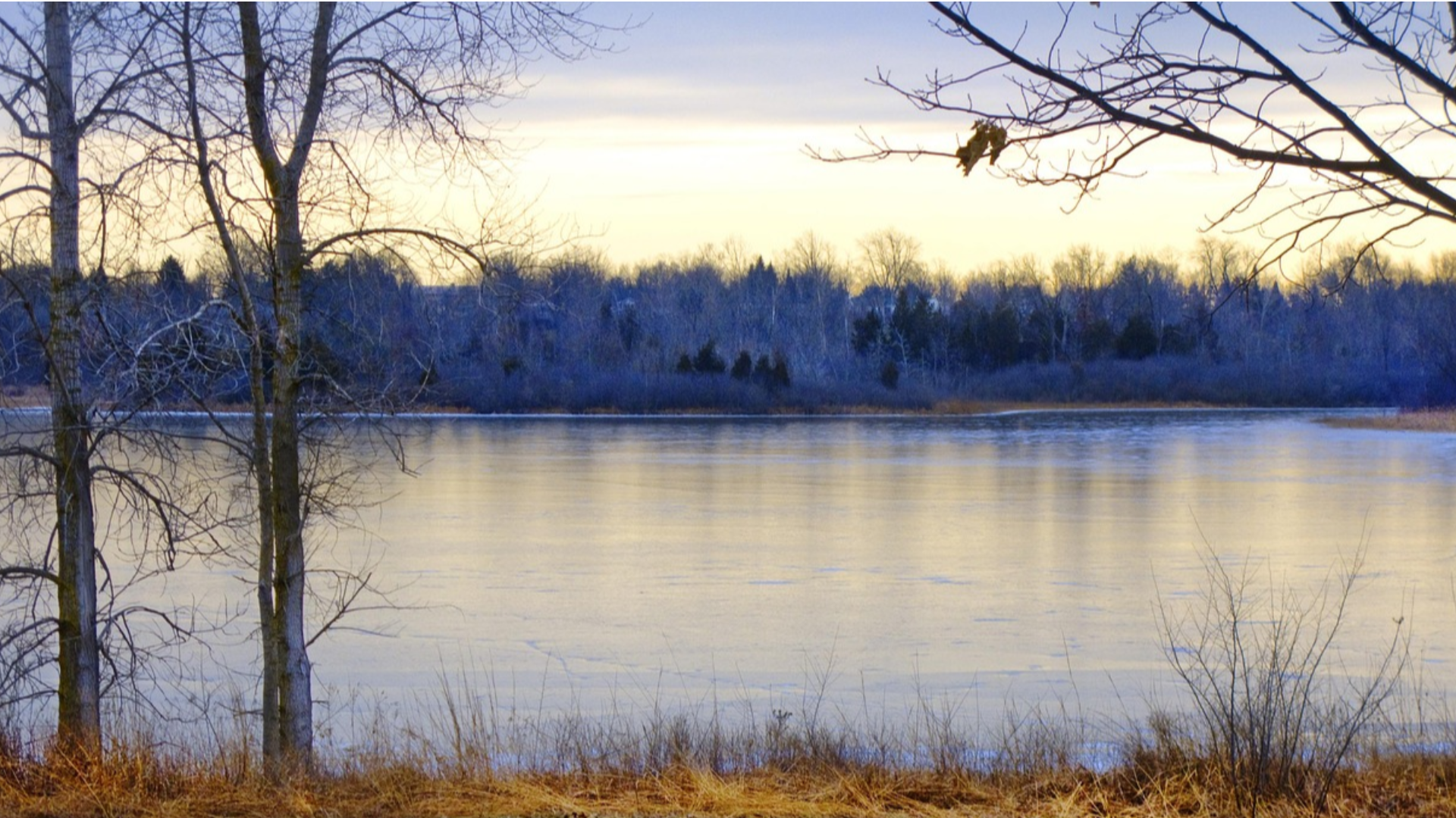 Herzlich Willkommen auf meiner Homepage !