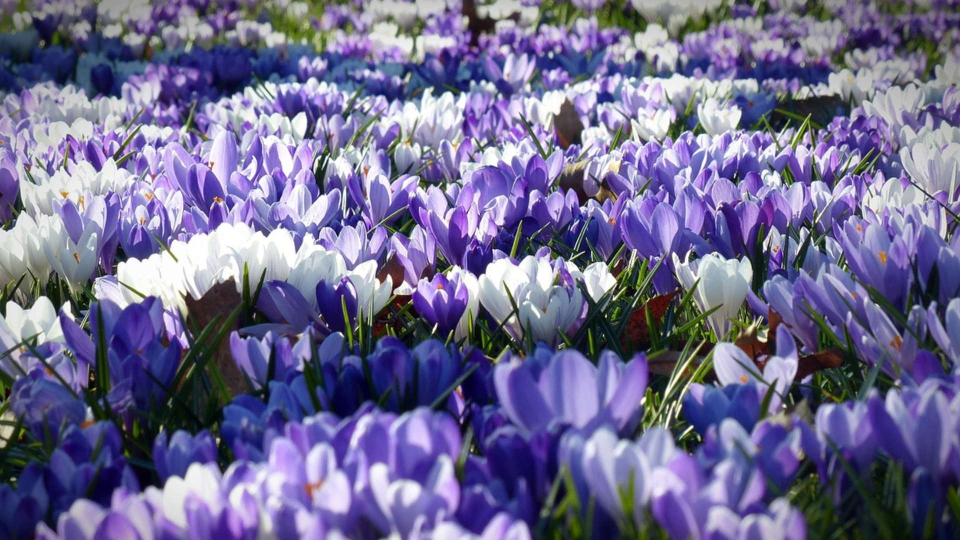 Herzlich Willkommen bei Lars Wedekind !