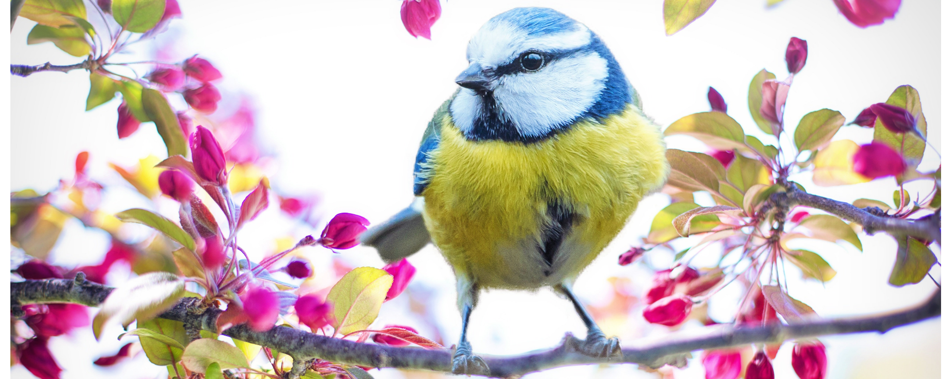 Herzlich Willkommen bei Lars Wedekind !