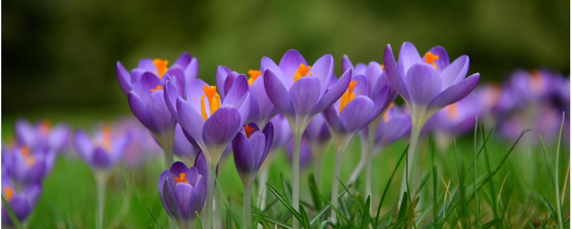 Herzlich Willkommen bei Lars Wedekind !