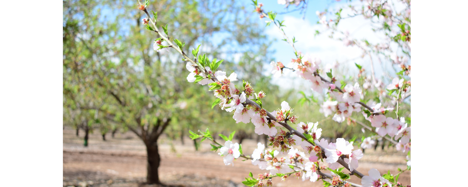 Herzlich Willkommen bei Lars Wedekind !