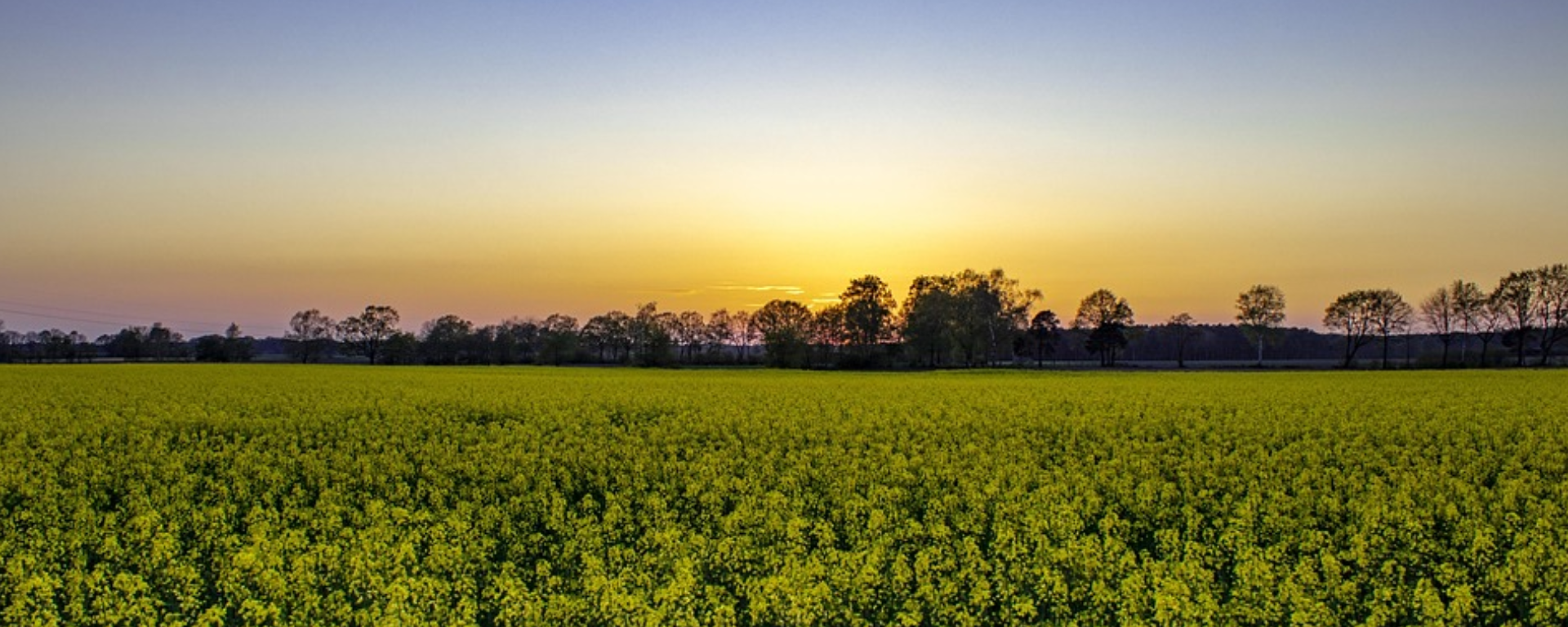 Herzlich Willkommen bei Lars Wedekind !